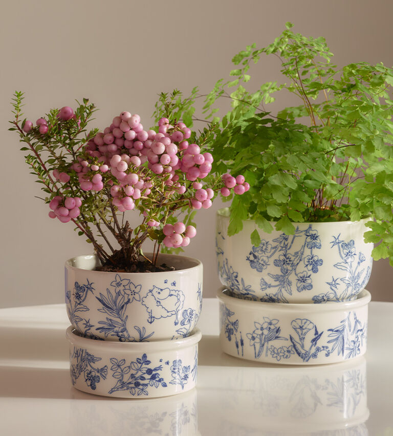 Handla dekoration at Illums Bolighus