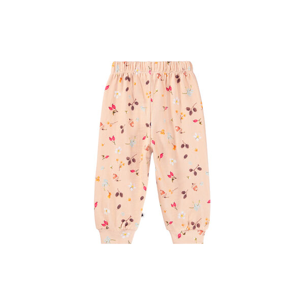 Simeon Byxor, foraging rose, Molo