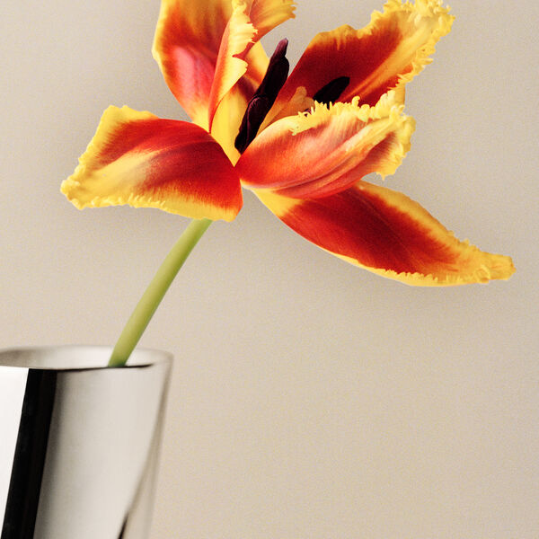 Lituus Vas Large, Georg Jensen