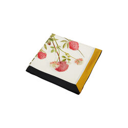 Yellow Meadow sidenscarf, Flora Danica Denmark