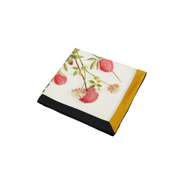 Yellow Meadow sidenscarf, Flora Danica Denmark