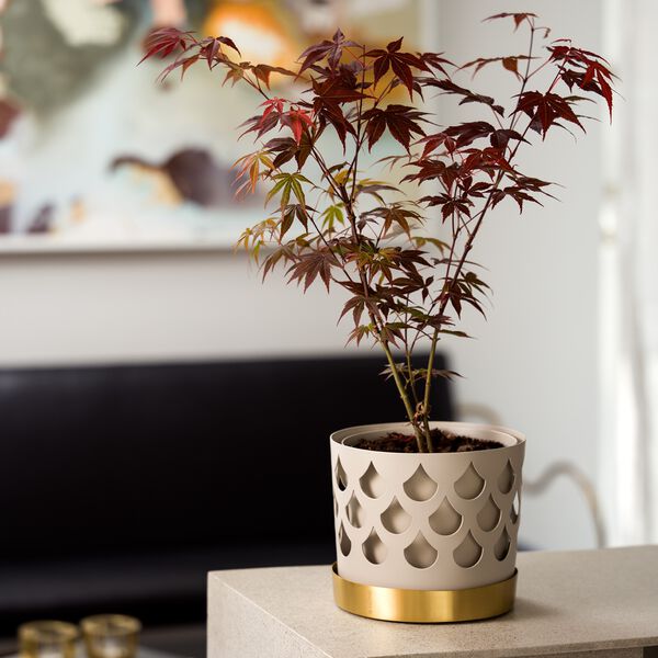 Trio Drop kruka mellan, Klong