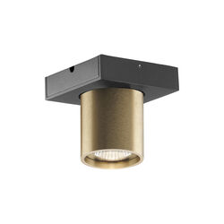 FOCUS 1 Ceiling Spotlight, brass FOCUS 1 Ceiling Spotlight, brass, LIGHT-POINT