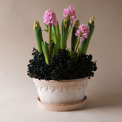 Københavner RAW Low Ø 25 cm kruka, Rosa, Bergs Potter