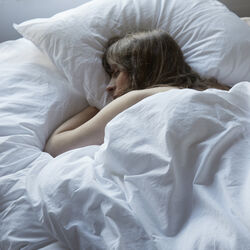 Medium Low Pillow, Fossflakes