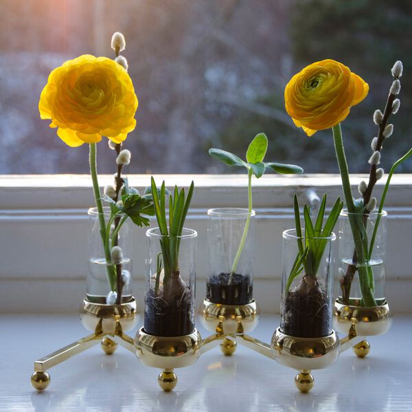 Constella glasinsats, Klong