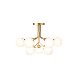 Apiales 9 Ceiling Lamp, brushed brass/opal, Nuura