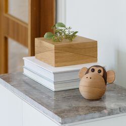 Apskålen, Spring Copenhagen