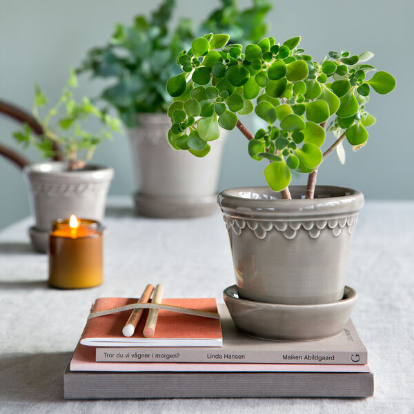 Københavner GLAZED kruka med fat, pearl grey, Bergs Potter