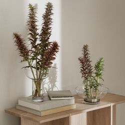 MIYABI Vas L, clear, Blomus