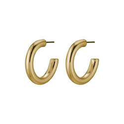 Dolag örhängen, guld, Pilgrim