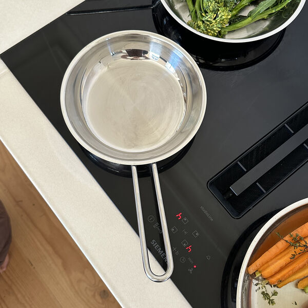Stainless Steel Stekpanna, Eva Trio