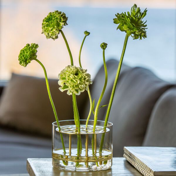 Äng vas liten, Klong