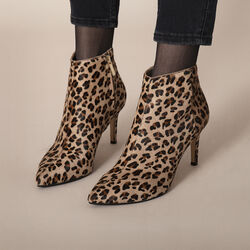 Lulu Leo, brown, Roccamore