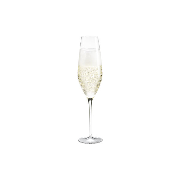 Cabernet champagneglas, 29 cl Cabernet champagneglas, 29 cl, Holmegaard