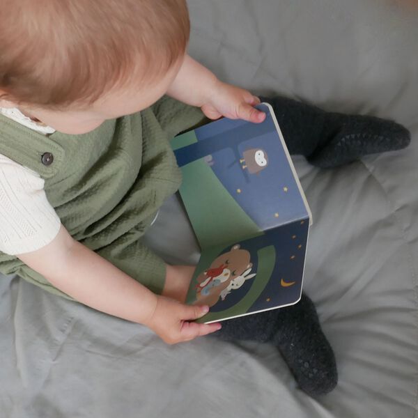 Teddy's Book, multi colour, Franck & Fischer