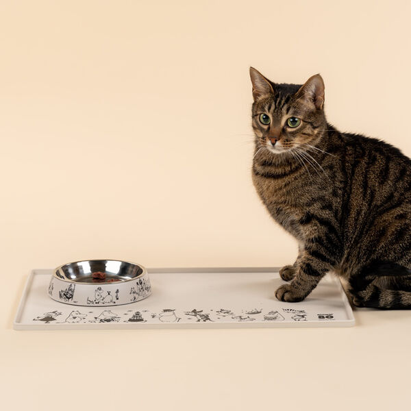 Mumi kattematskål, Muurla