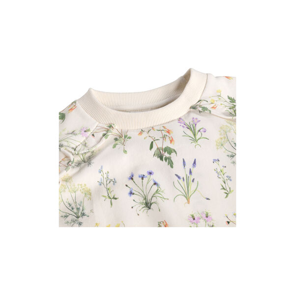 Mabel Sweater, primavera, Molo