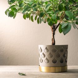 Trio Drop kruka mellan, Klong