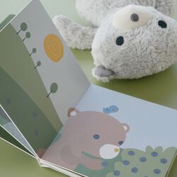 Teddy's Book, multi colour, Franck & Fischer