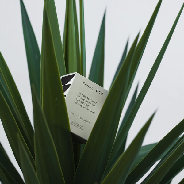 No. 4 Candle, Set goals that scare you and excite you at the same time, Candly & Co