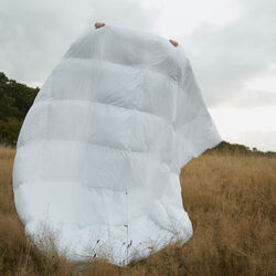 Autumn dyna, Fossflakes