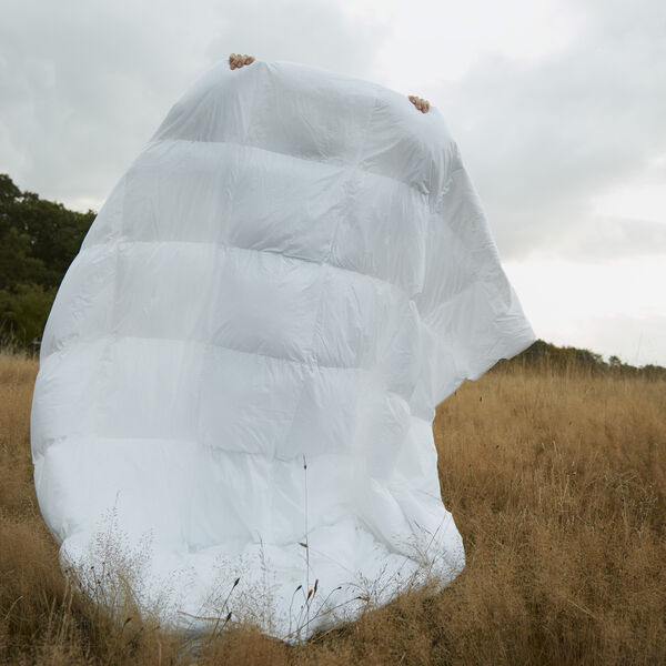 Autumn dyna, Fossflakes