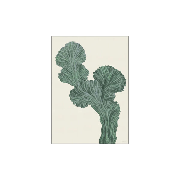 Cactus Myrtillo, Poster & Frame