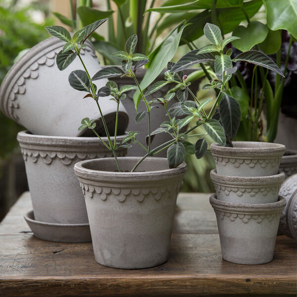 Københavner RAW kruka med fat, grey, Bergs Potter