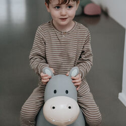 Holger the Hippo Jumping Animal, Find that hippo