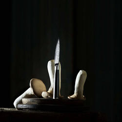 Örtkniv, Gastrotools