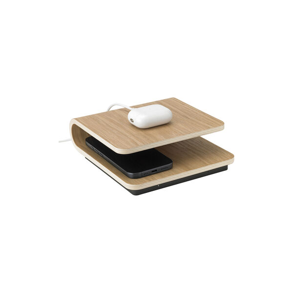 Ro tr&aring;dl&ouml;s laddare, Stelton