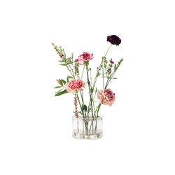 Äng vas liten, Klong