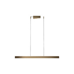 EDGE LINEAR S1000 SWITCH TUNE, brass, LIGHT-POINT