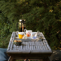 Flora kopp med h&ouml;gt handtag och fat, bl&aring;klint, Royal Copenhagen