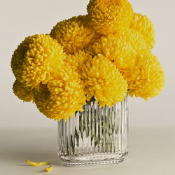 Bernadotte Oval Vas, Georg Jensen