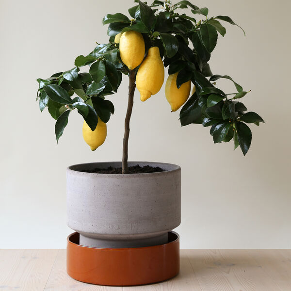 Hoff RAW kruka, grey, Bergs Potter