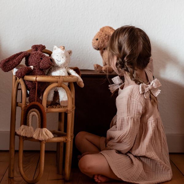 Den trogna hunden med en cape, Sleeping Hero