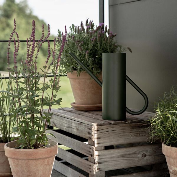 Bloom vattenkanna, pine, Stelton