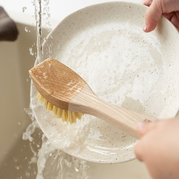 Diskborste, Tampico, Humdakin