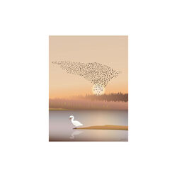 Murmuration Poster, ViSSEVASSE