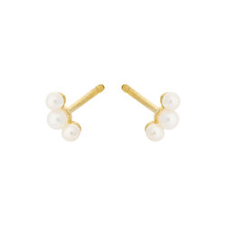 Ocean Pearl Earstick, guld, Pernille Corydon Jewellery