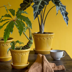 Københavner GLAZED kruka med fat, amber yellow, Bergs Potter