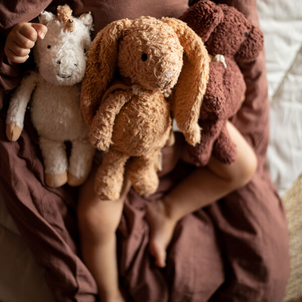 Den lyssnande kaninen med en cape, Sleeping Hero