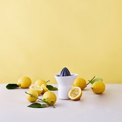 Citruspress, white/grey, RIG-TIG