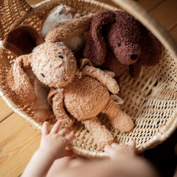 Den lyssnande kaninen med en cape, Sleeping Hero