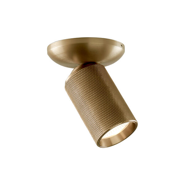 RAW 1 taklampa, brass, LIGHT-POINT