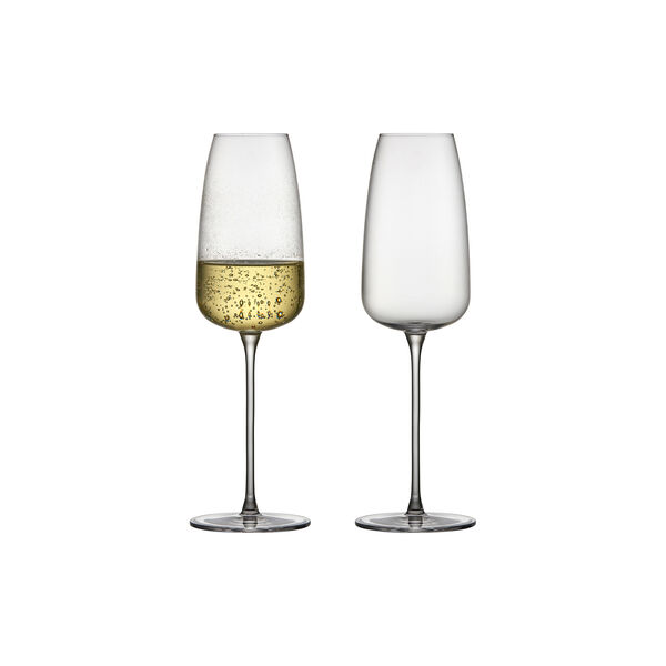 Veneto champagneglas 2 st., Lyngby Glas