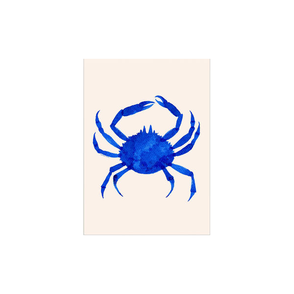 Cangrejo de Noche, THE POSTER CLUB