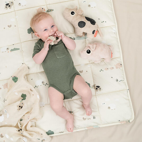 Pigee Cuddle Cute, powder, Done by Deer